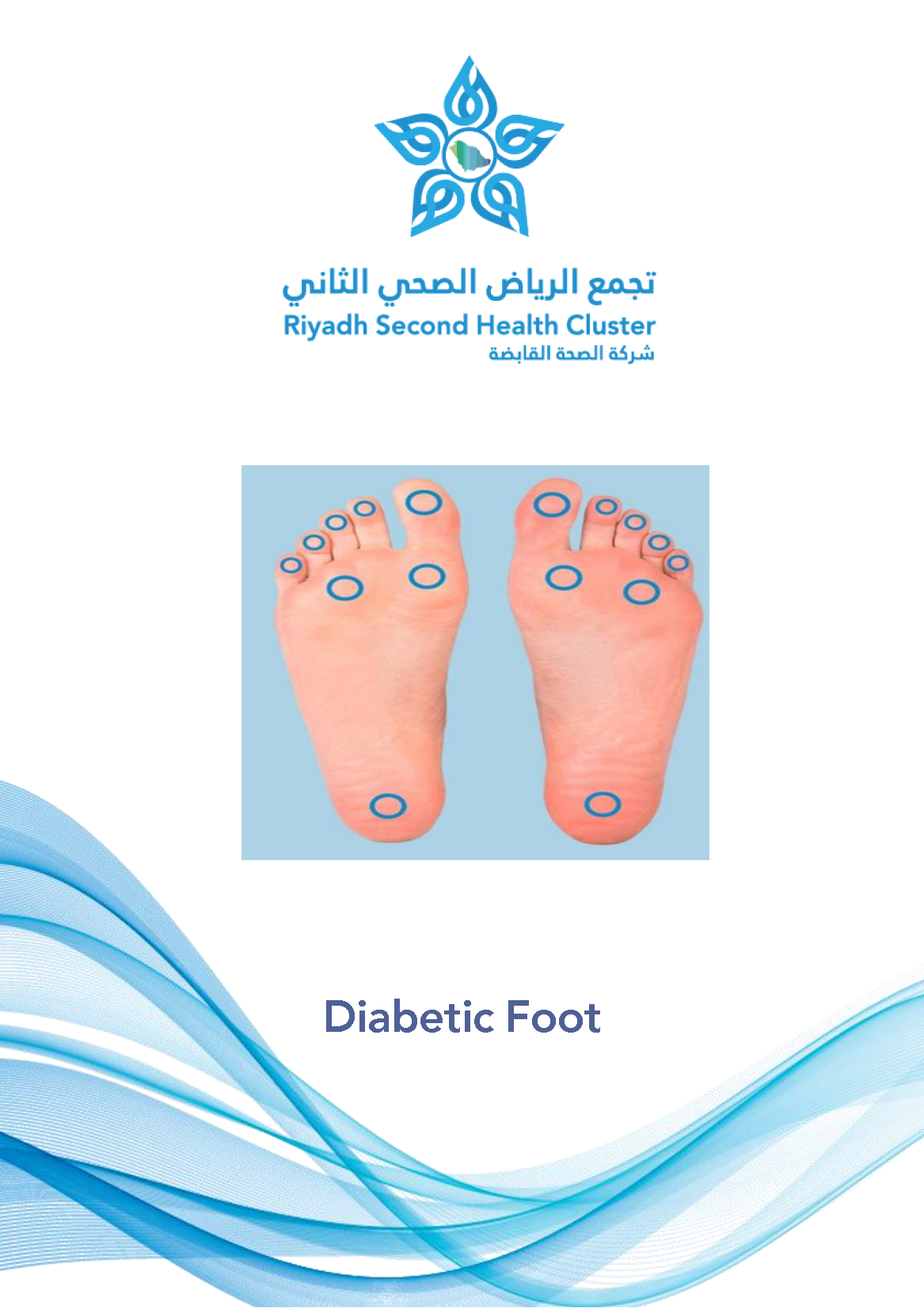 HEM1.23.0001566 Diabetic Foot EN.pdf